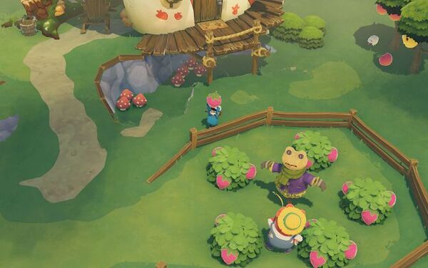 Time on Frog Island - Xbox Series X
