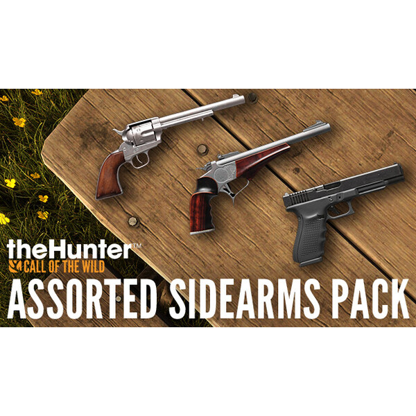 theHunter: Call of the Wild™ - Assorted Sidearms Pack