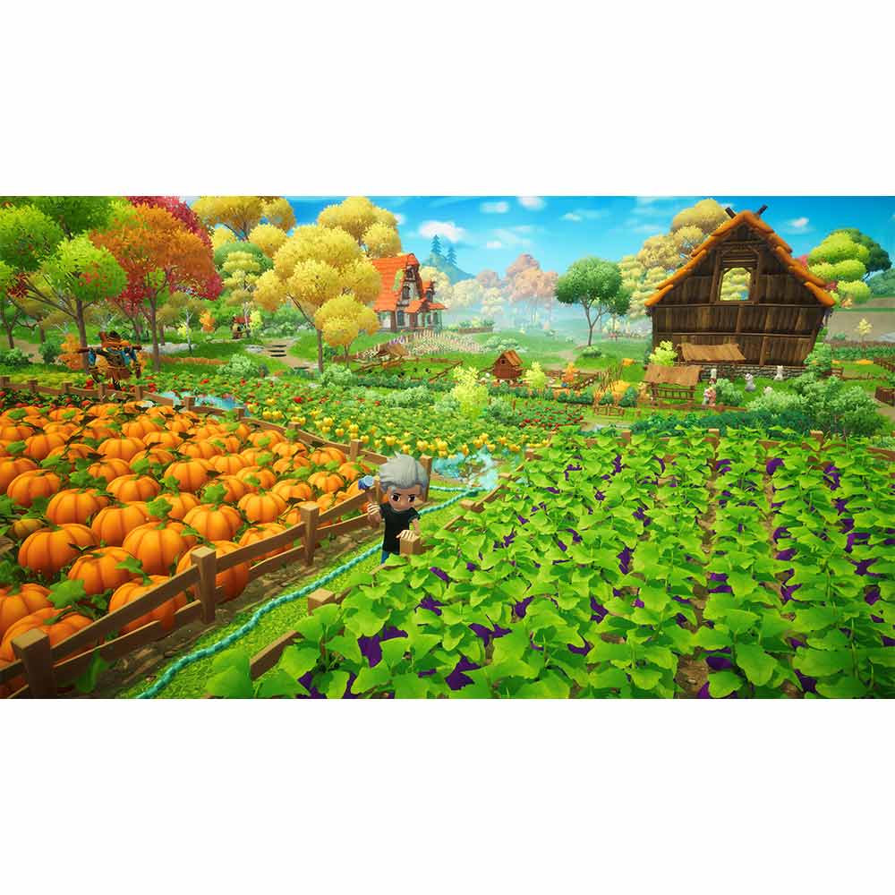 Everdream Valley - Switch