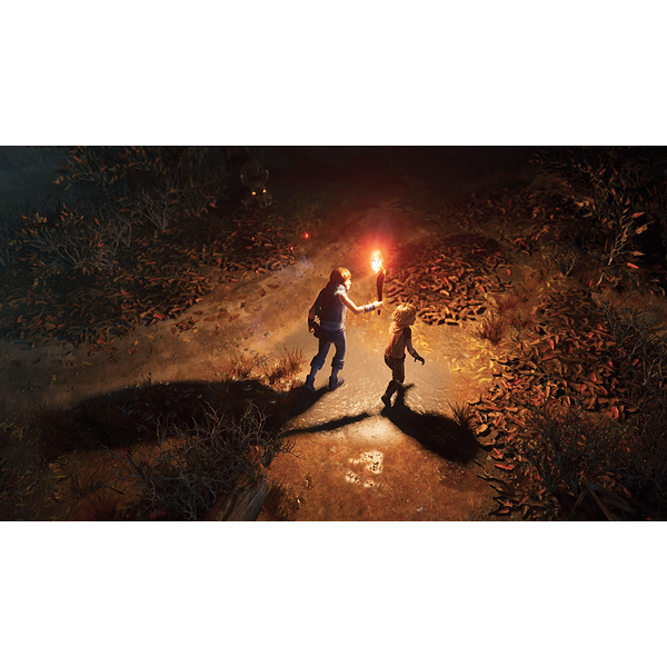 Brothers: A Tale of Two Sons Remake