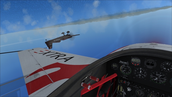 Microsoft Flight Simulator X: Steam Edition: Skych
