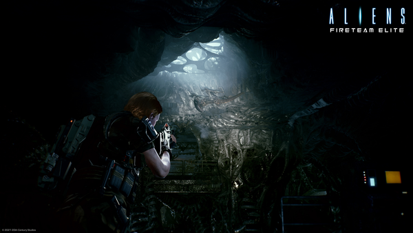 Aliens: Fireteam Elite PC Download (EMEA)