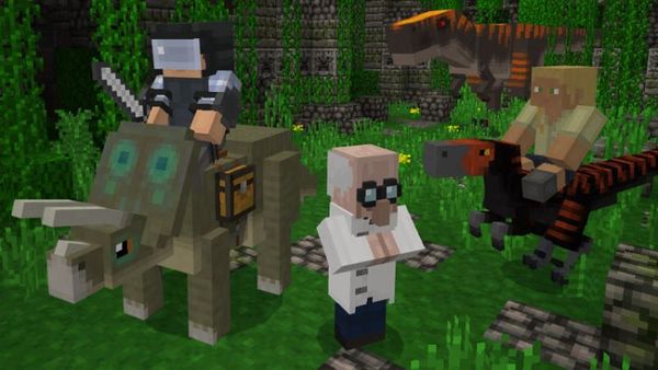 Minecraft Starter Collection