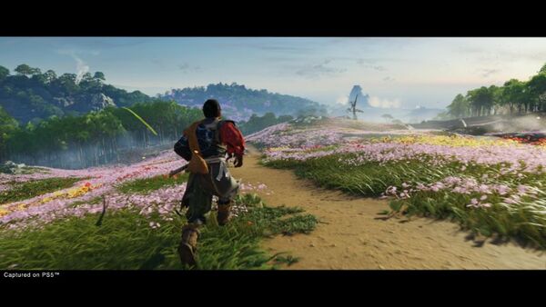 Ghost of Tsushima Director's Cut - PlayStation 5
