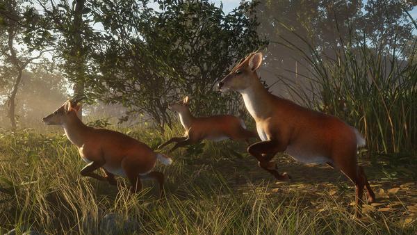 theHunter: Call of the Wild™ - Sundarpatan Nepal Hunting Reserve
