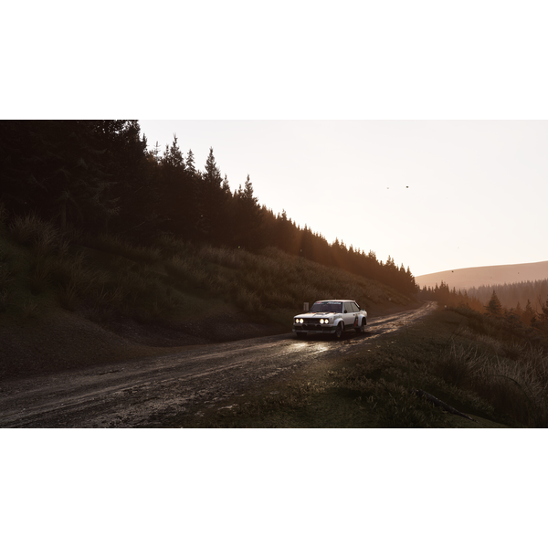 Assetto Corsa Rally (ROW) 