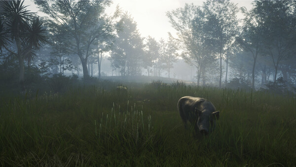 theHunter: Call of the Wild™ - Te Awaroa National Park
