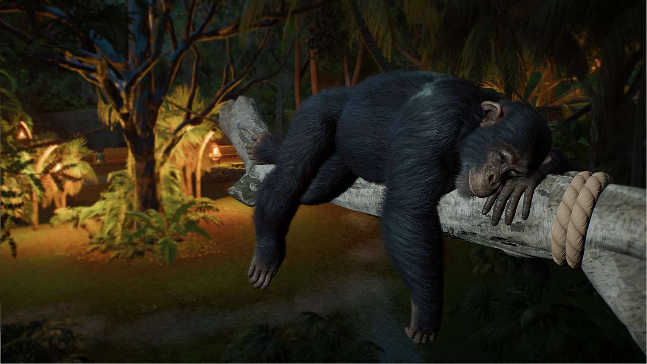 Planet Zoo 2 - XBX