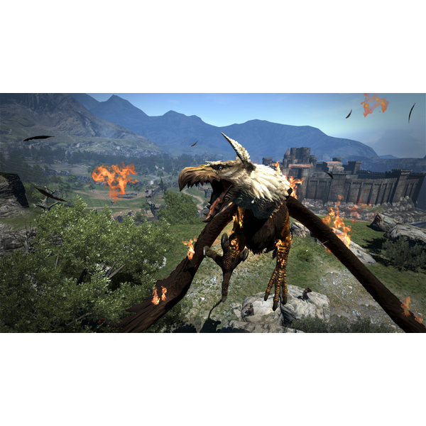 Dragon's Dogma: Dark Arisen