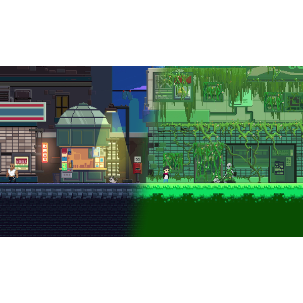 What Lies in the Multiverse