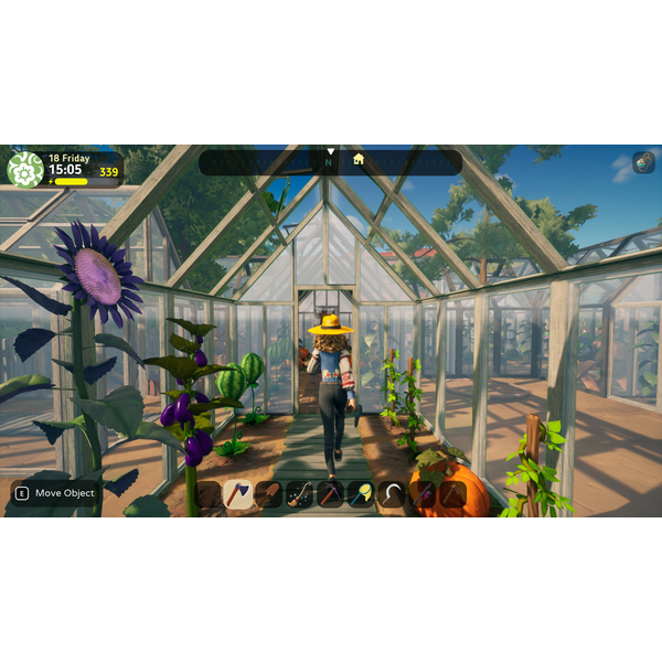 The Witch of Fern Island