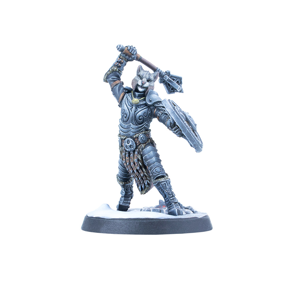 The Elder Scrolls Call to Arms Adventurer Allies