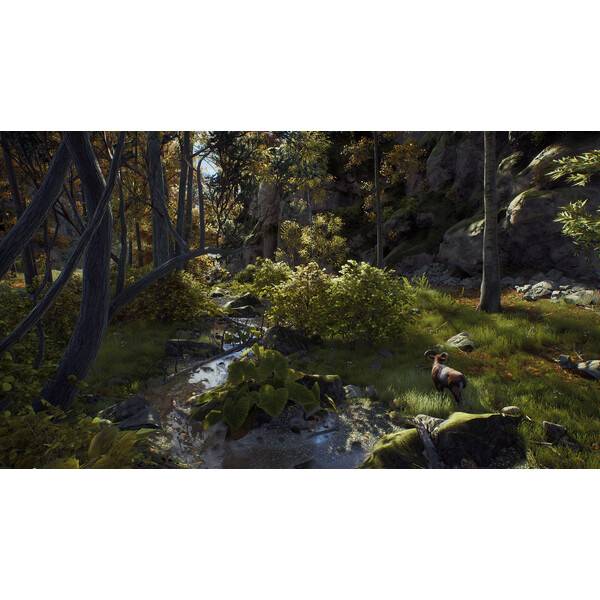 Way of the Hunter PC Download (ROW)