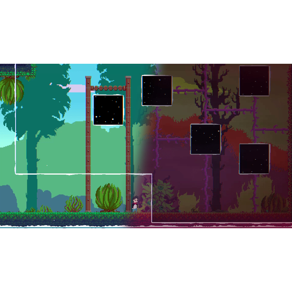 What Lies in the Multiverse