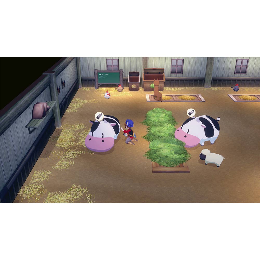 Story Of Seasons: Grand Bazaar - Switch 2