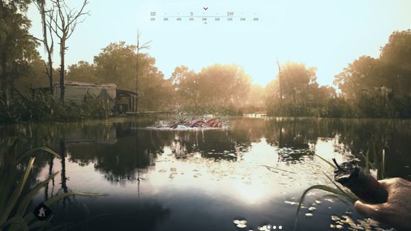Hunt: Showdown