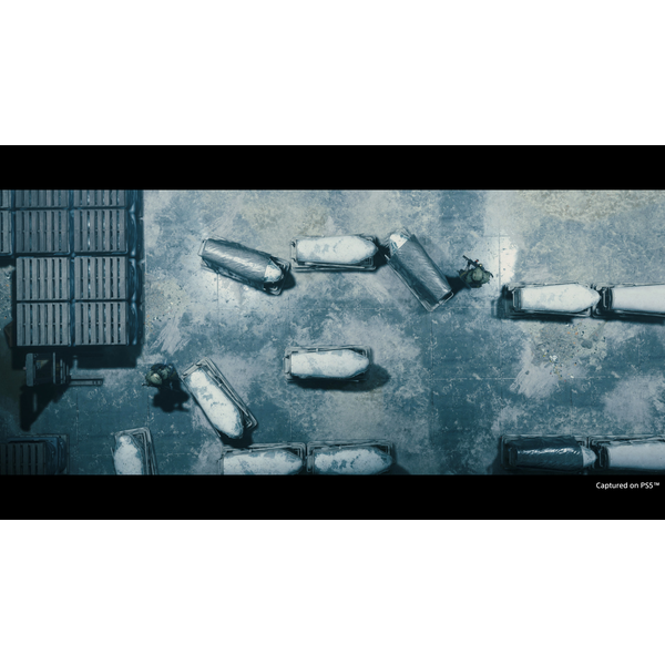 Death Stranding Director's Cut PC Download