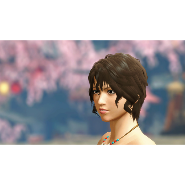 Monster Hunter Rise: Sunbreak Deluxe Kit