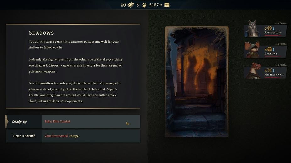 Banners of Ruin Wild Edition - Switch
