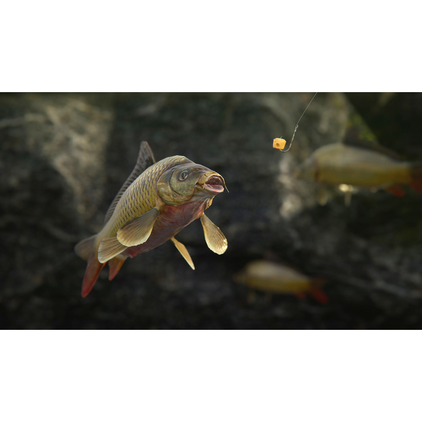 Scum PC Download