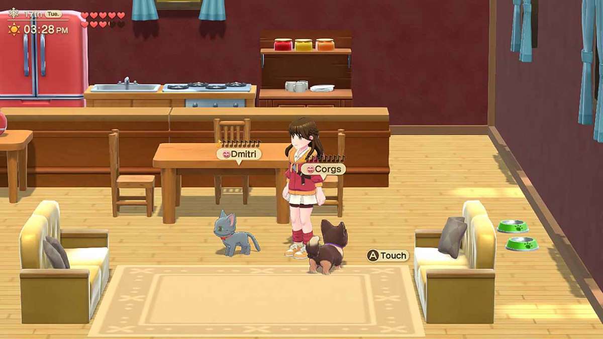 Harvest Moon Home Sweet Home Special Edition - Switch