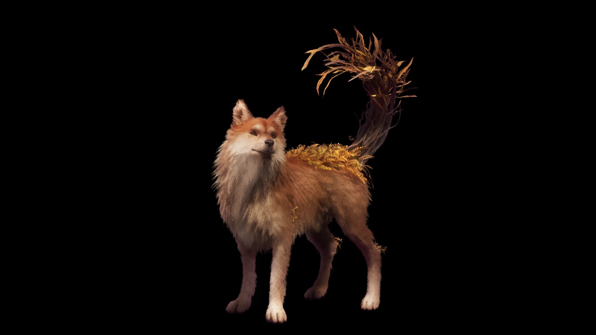 Beast of Reincarnation - XBX