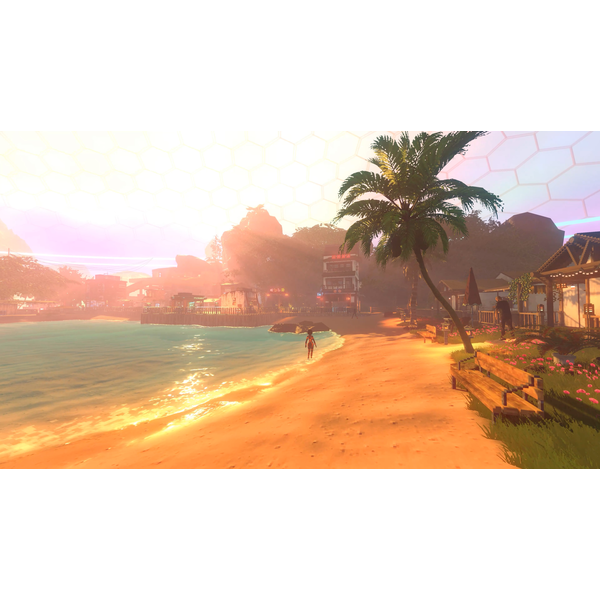 Nivalis Nights