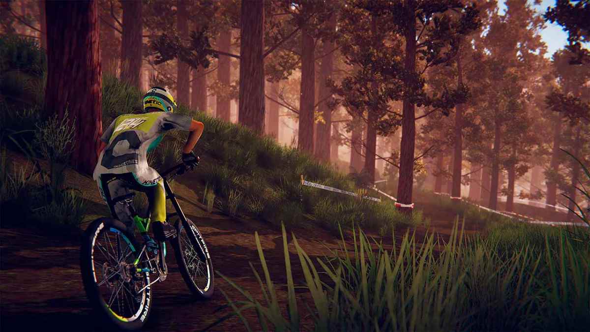 Descenders  - Switch(CIAB)