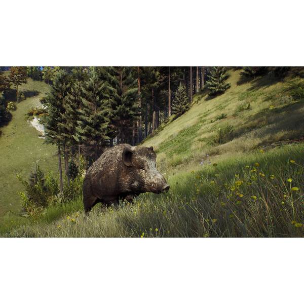 Way of the Hunter PC Download (ROW)