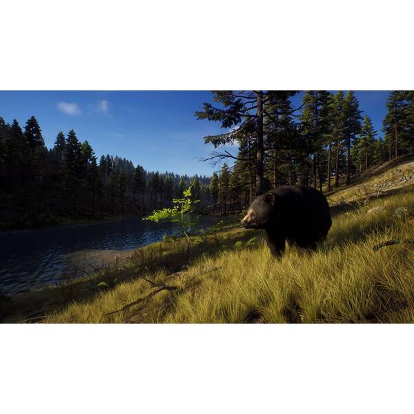 Way of the Hunter PC Download (ROW)