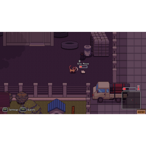 A Street Cat's Tale 2