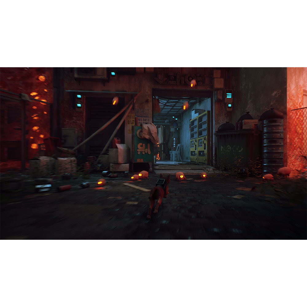PS4ST13_stray-ps_-3.jpg