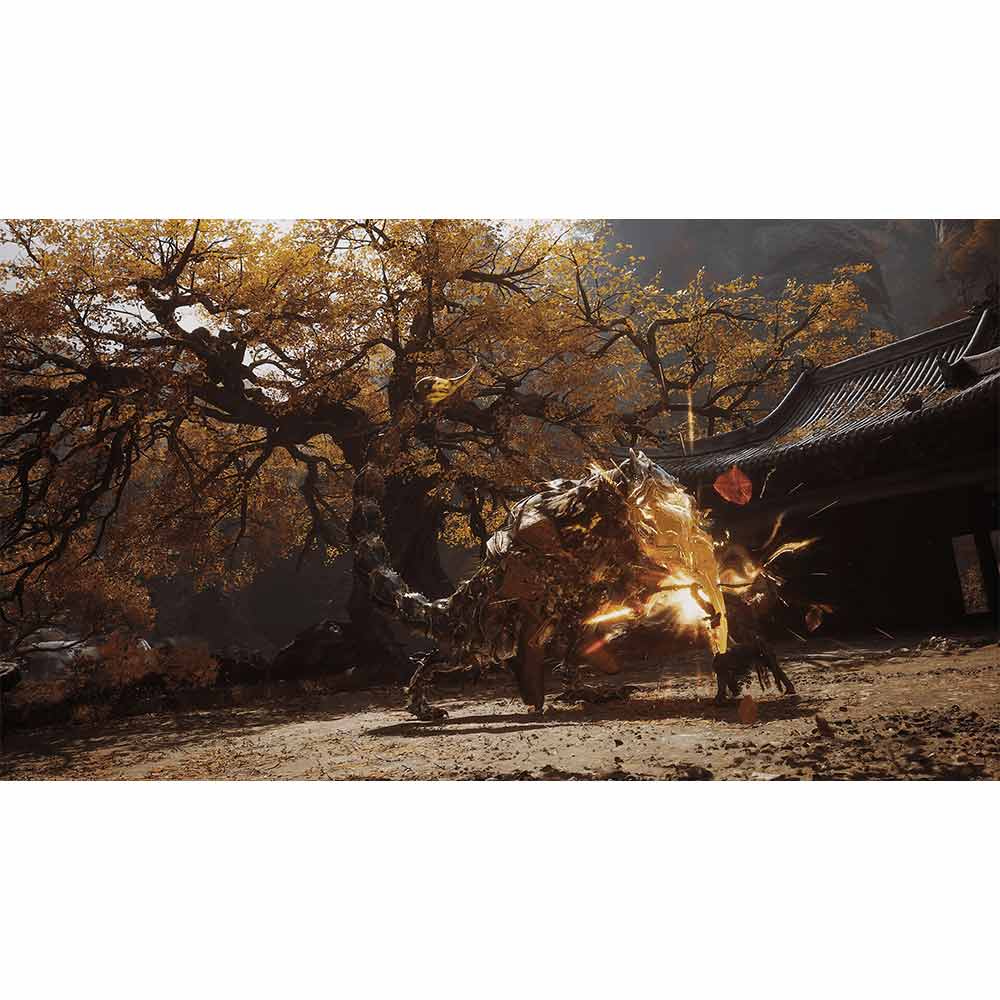 PS5BL07_psbl_black-myth-wukong-ss_--1.jpg