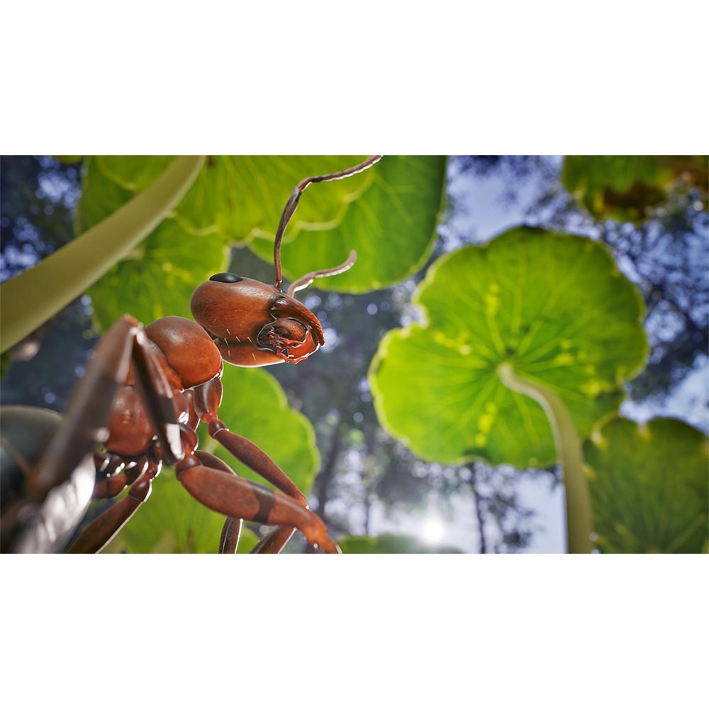 PS5EM00_empire-of-the-ants-ss_.jpg
