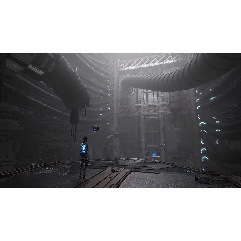 PS5ST32_steel-seed-ss_-3.jpg