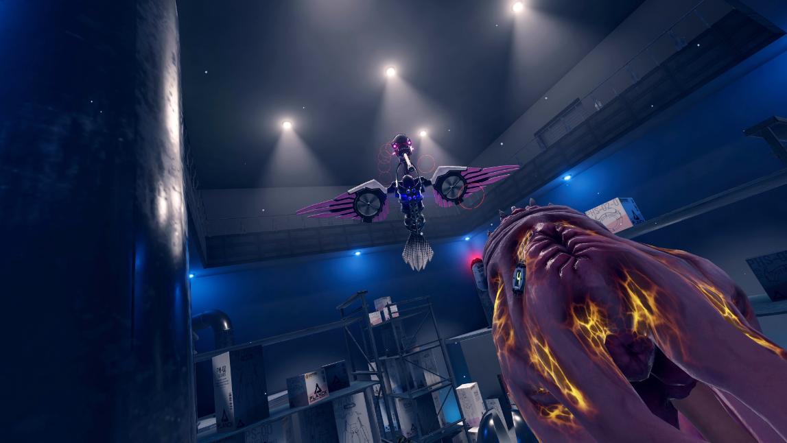 PS5VE03_screenshot_hummingbird.jpg