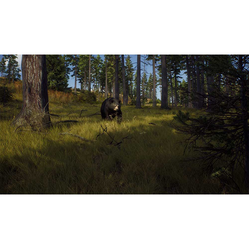 Way of the Hunter - PlayStation 5