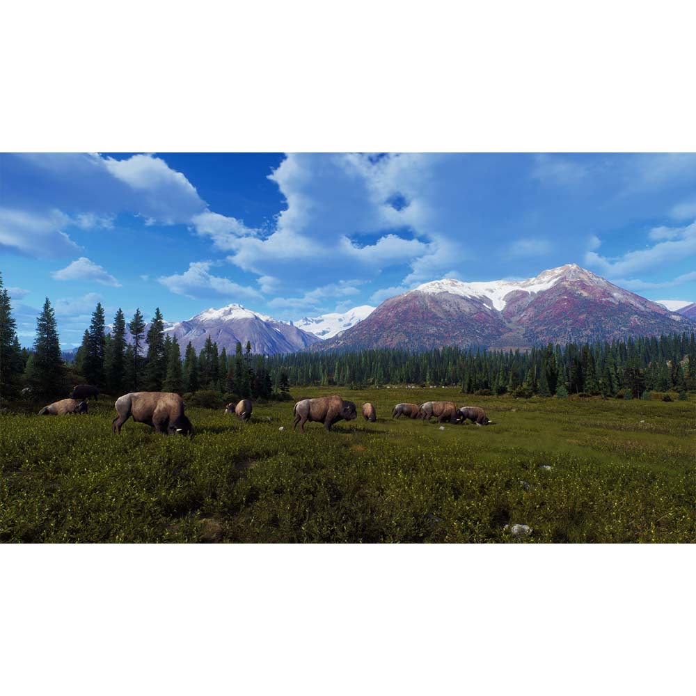 Way of the Hunter - Wild Expeditions - PlayStation 5