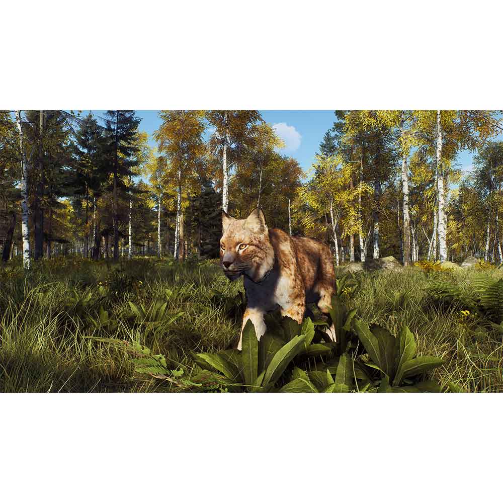Way of the Hunter - Wild Expeditions - PlayStation 5