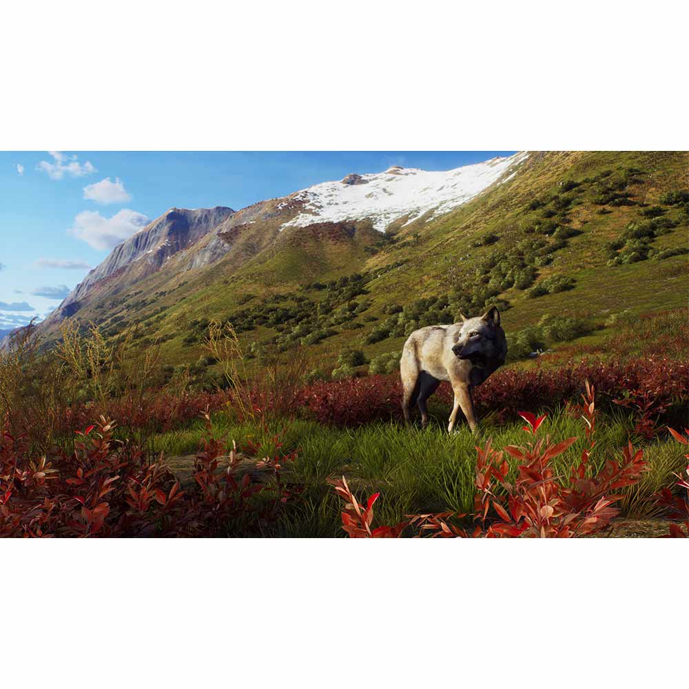 Way of the Hunter - Wild Expeditions - PlayStation 5