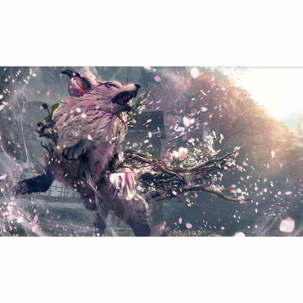 Wild Hearts S - Switch 2