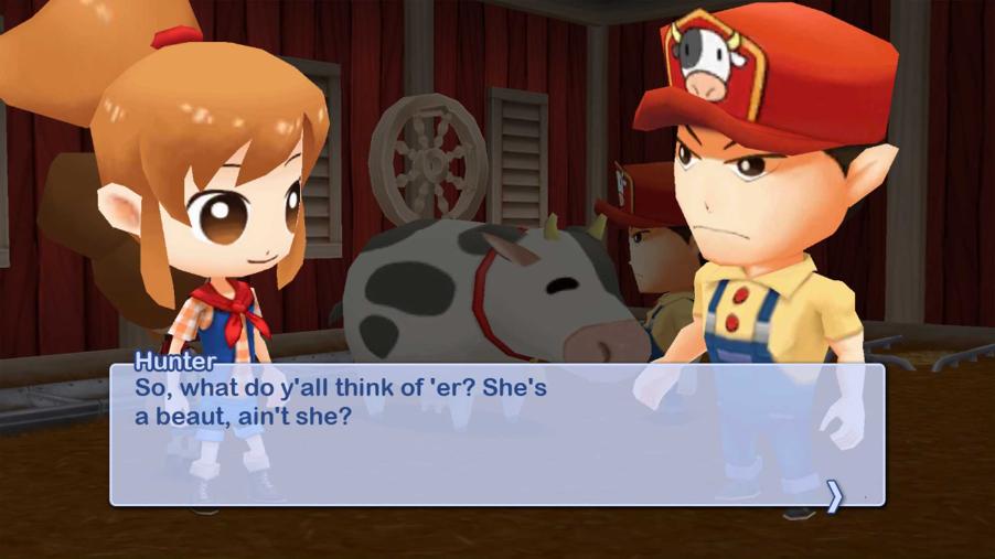 Harvest Moon: The Lost Valley & Skytree Village Collectors Edition - Switch