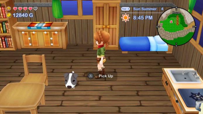 Harvest Moon: The Lost Valley & Skytree Village Collectors Edition - Switch