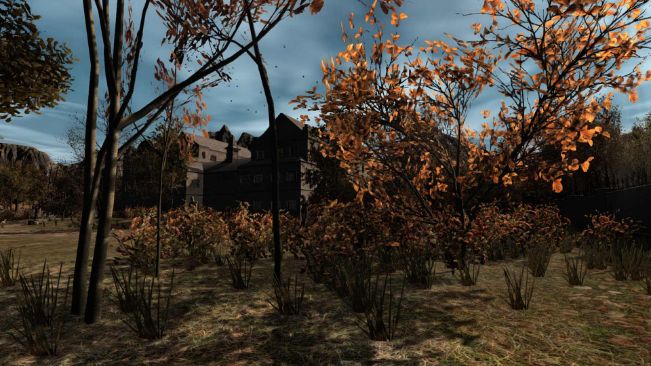 Pineview Drive (Code in a Box)