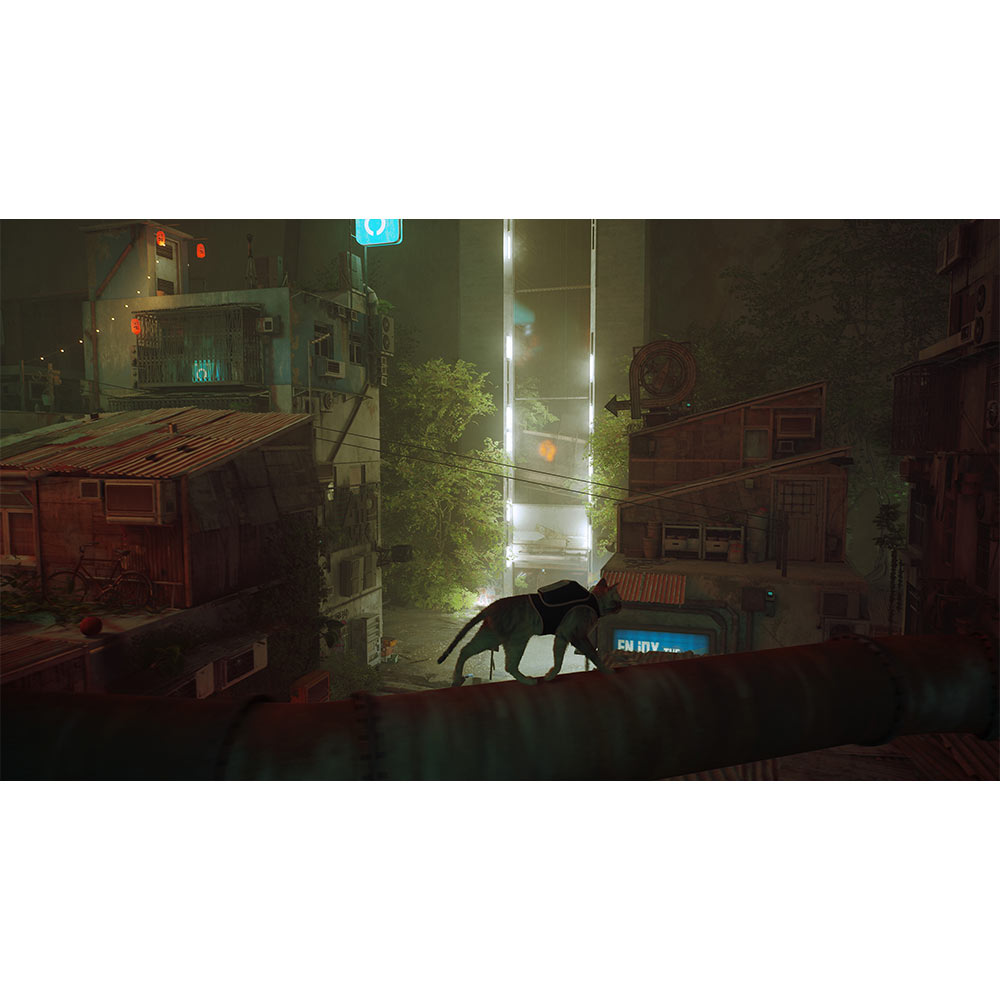 Stray - Switch