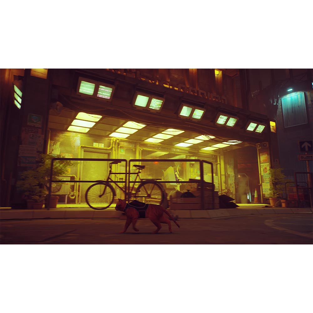 Stray - Switch