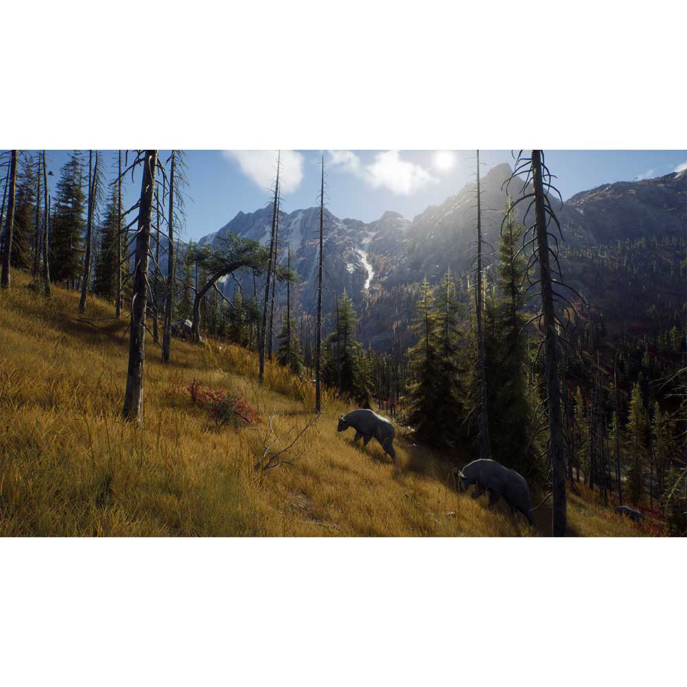 Way of the Hunter - Xbox Series X