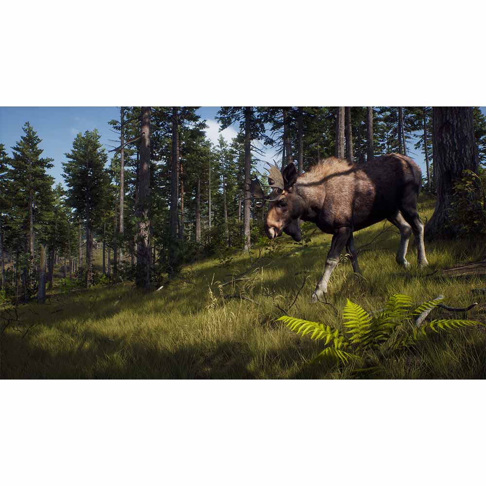Way of the Hunter - Xbox Series X