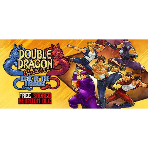 Double Dragon Gaiden: Rise Of The Dragons