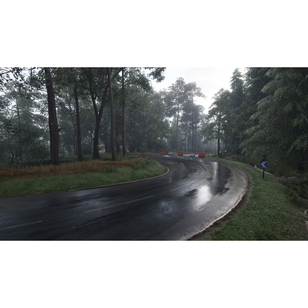 Assetto Corsa Rally (ROW) 